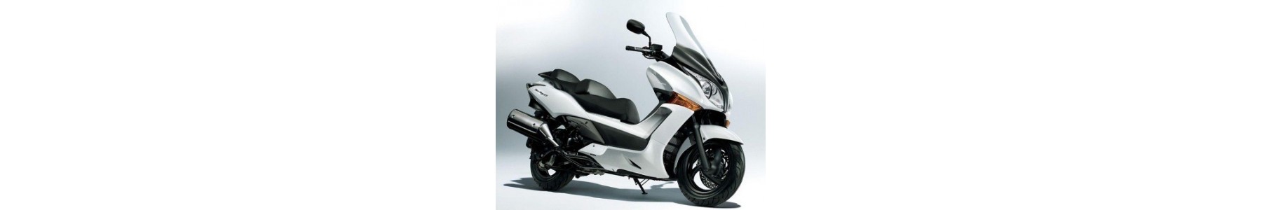 Silver Wing 600 2011-